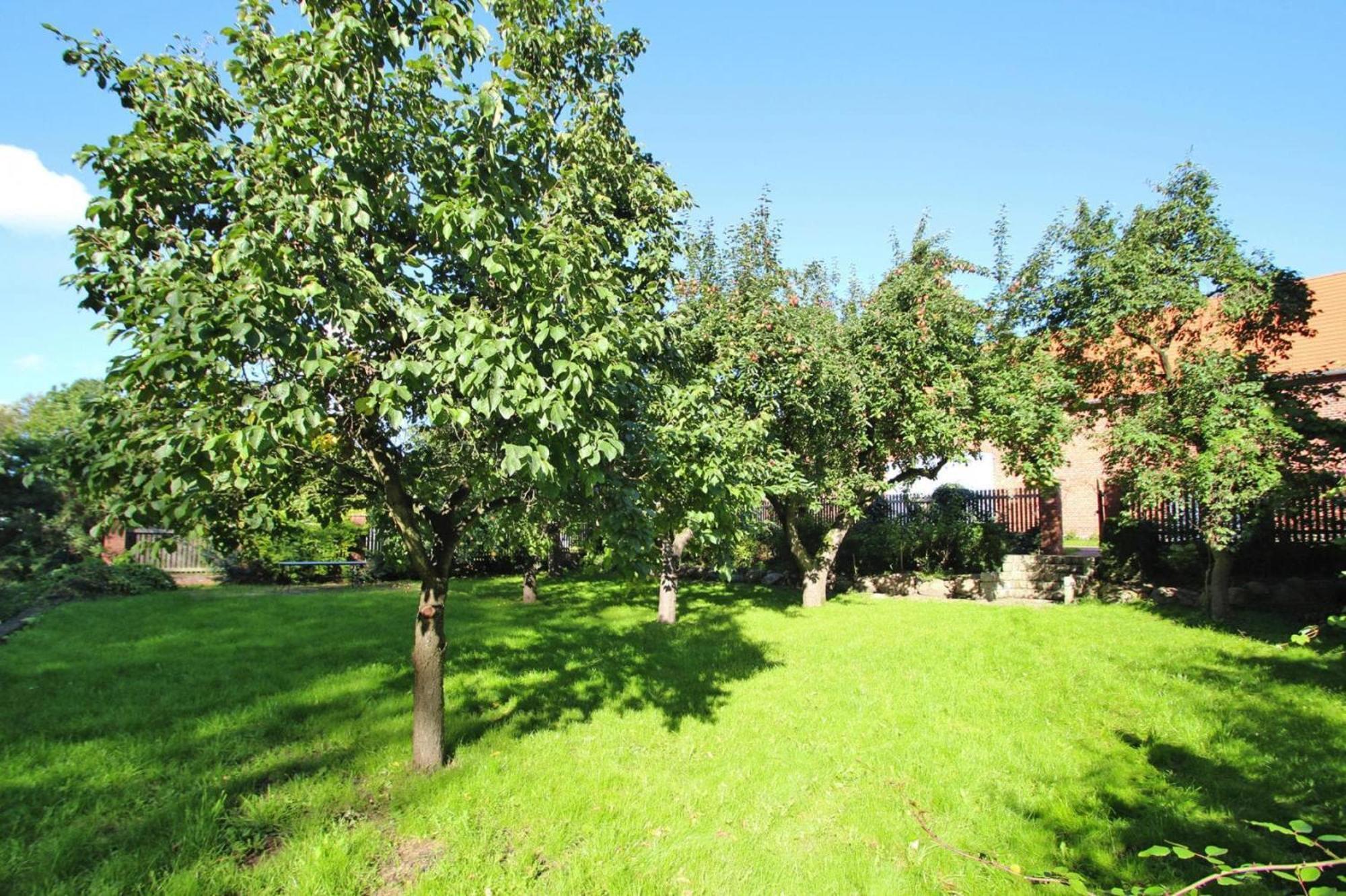 Ferienhaus Rosenhof In Lenzen Buitenkant foto